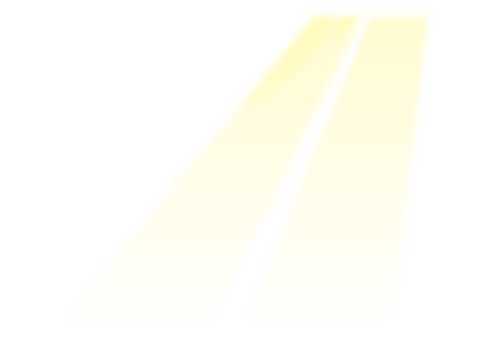 チラシ画像中面